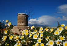 Çığlı Çaputlu Nazar Boncukları: Datça
