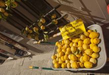 Şemsiye, Limon ve Çamaşır: Monterosso