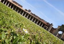 Yanardağın Yok Ettiği Kent: Pompei