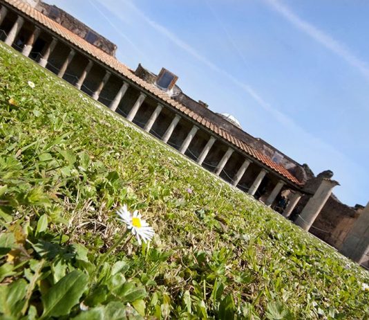 Yanardağın Yok Ettiği Kent: Pompei