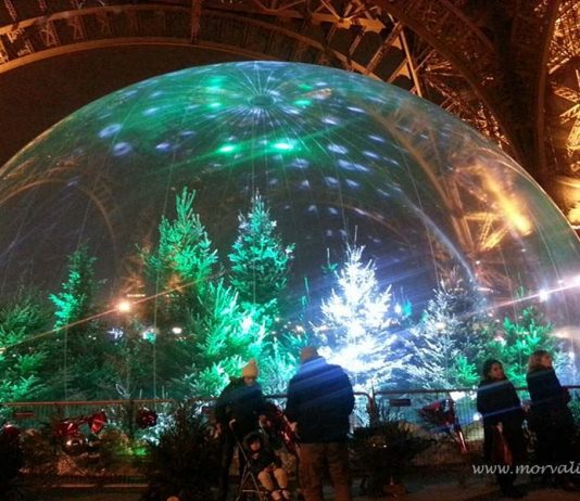 Bach’ın Noel Konseri ve Paris