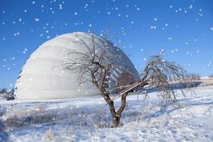 IMG_3902-SNOW