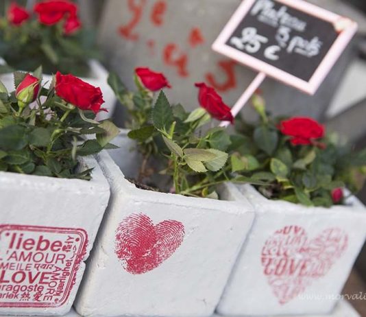 Aşkın Şehri Paris