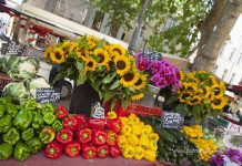 Aix-en-Provence’da Bir Pazar Gezisi