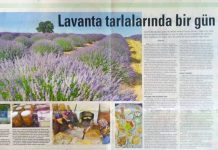 Tatil Sabah: Lavanta Tarlalarında Bir Gün Isparta