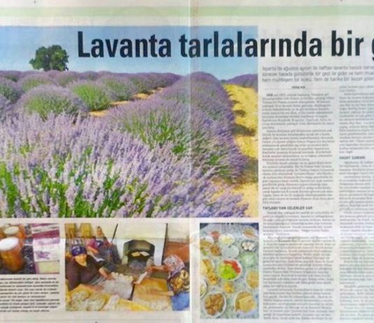 Tatil Sabah: Lavanta Tarlalarında Bir Gün Isparta