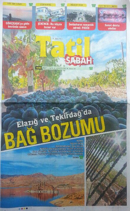Sabah Gazetesi Fatoş Pur Bağbozumu
