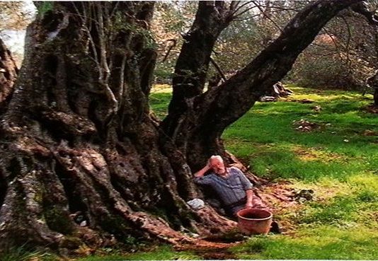 Sabah Tatil: Zorba’nın Adası Girit