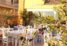 Komşuda Eğlencenin En Yakın Adresi: Dedeağaç