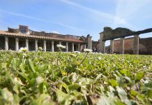 Sabah Tatil’de Yazdım: Öfkeli Yanardağ ve Pompei