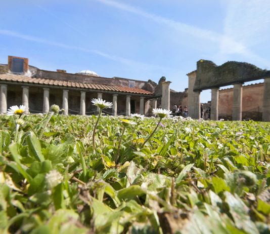 Sabah Tatil’de Yazdım: Öfkeli Yanardağ ve Pompei