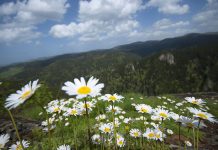 Karadeniz’in Gizli Cevheri: Ordu Gezi Rehberi