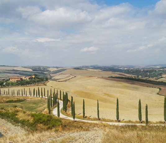 Sabah Tatil: Bir Fotoğraf İçin Toskana Yollarında