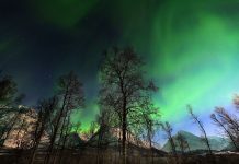 Tatil Sabah: Rengarenk ışık seli Kuzey Işıkları