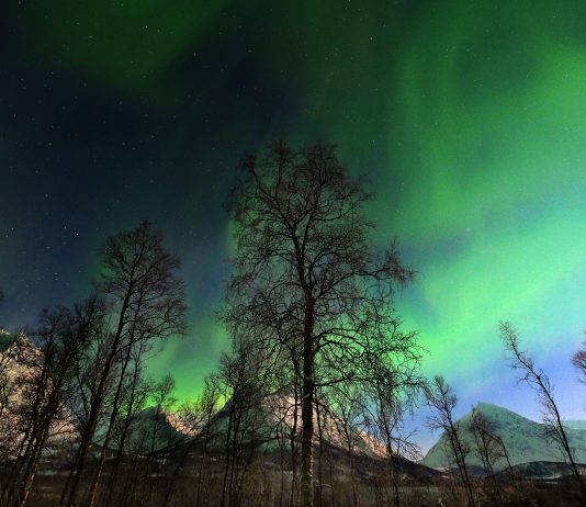 Tatil Sabah: Rengarenk ışık seli Kuzey Işıkları