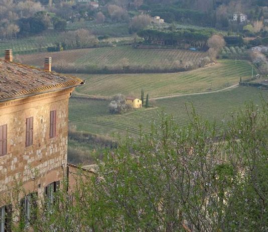 Sabah Tatil’de Yazdım: Pienza İlham Kaynağı Aşk