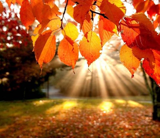 Sabah Tatil’de anlattım: Sonbahar Kaçamağı