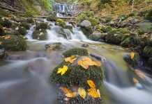 Sabah Tatil’de Yazdım: Yedisi de Birbirinden Güzel Yedigöller
