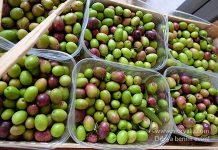 Puglia: Çizmenin Topuğunda Lezzet Deneyimi