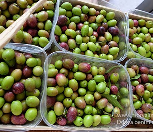 Puglia: Çizmenin Topuğunda Lezzet Deneyimi