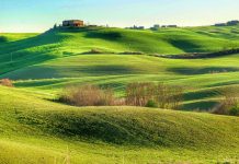 Rönesansın Doğduğu Topraklar Toscana ve Asciano