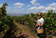 Tatil Sabah’ta anlattım: Çiçekler içinde Miras Yolu