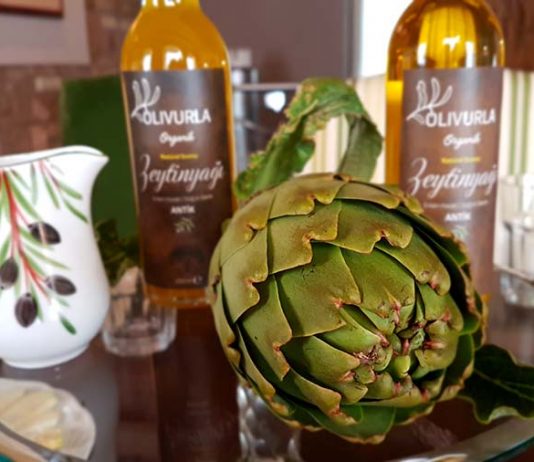 Sakız Enginarı ve Dünyanın En İyi Zeytinyağı Olivurla
