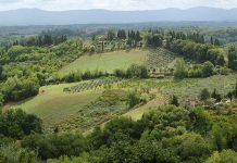 Tarih Kokulu Toskana Kasabası San Gimignano