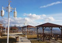 Sabah Tatil: Sedir Ormanlarının Gölgesinde Elmalı