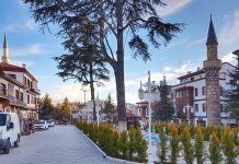 Mütevazi Güzel Kadim Elmalı