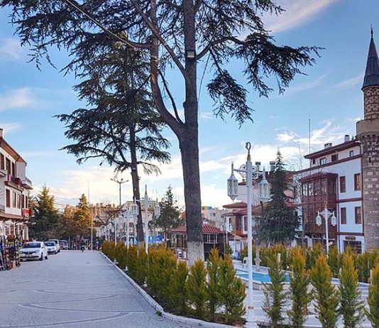 Mütevazi Güzel Kadim Elmalı