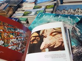 İzlanda’da Elflerin ve Vikinglerin Şehri Hafnarfjördur