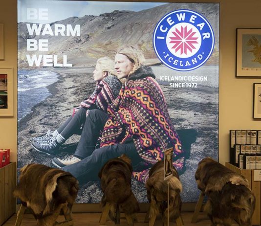 İzlanda’da Alışveriş ve Ne Yenir?