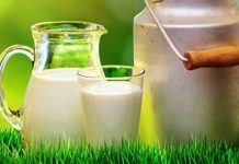 Sütün Yararı ve Süt Tüketimi Üzerine Biraz Konuşalım