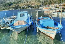 Sabah Tatil: Bir Tatlı Huzur Almaya Geldim, Söğüt